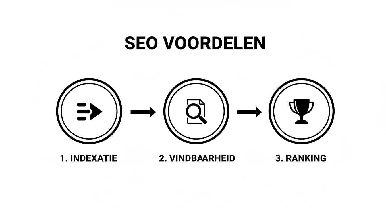 Infographic over de voordelen van SEO, die de stappen indexatie, vindbaarheid en ranking toont.